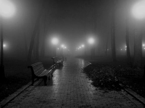 2715510.jpg