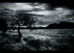Darkness_Falls_by_ThisYearsGirl krajina.jpg